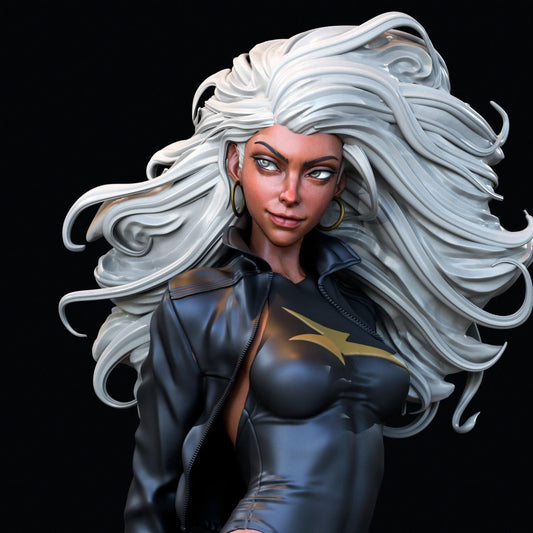 Storm Statue - X-Men Evolution - Collectible Garage Kit